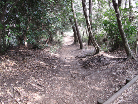 20180223hike (143)
